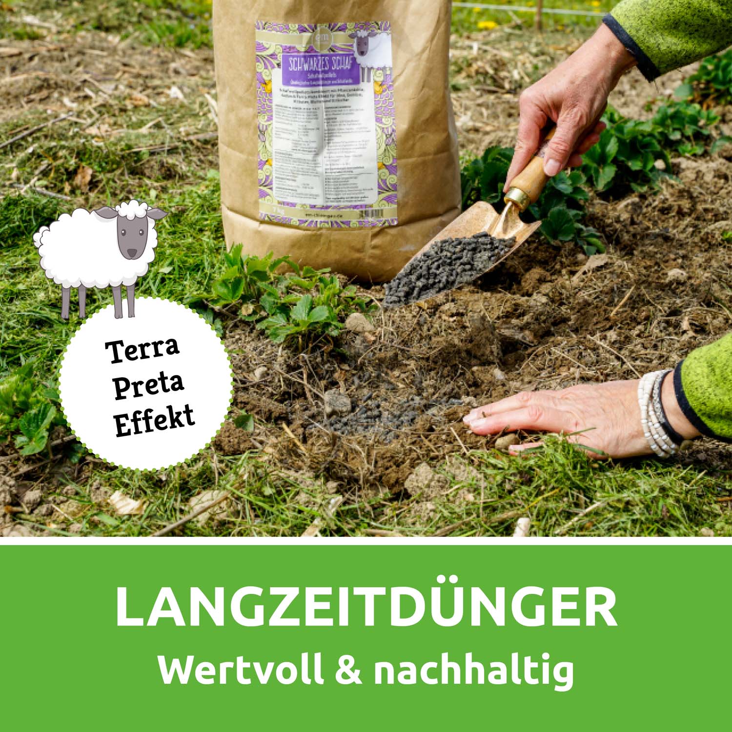 Vorschaubild 7