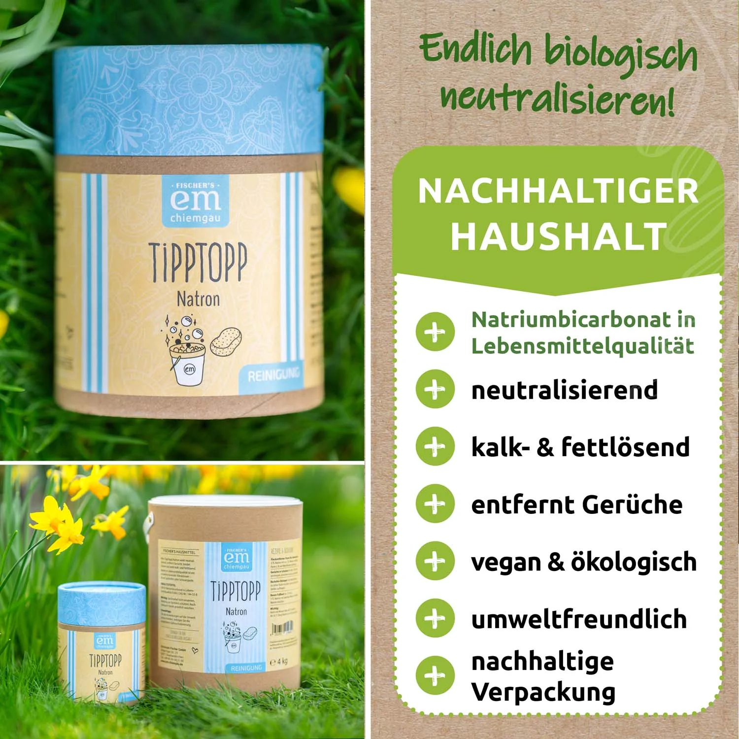 Vorschaubild 4