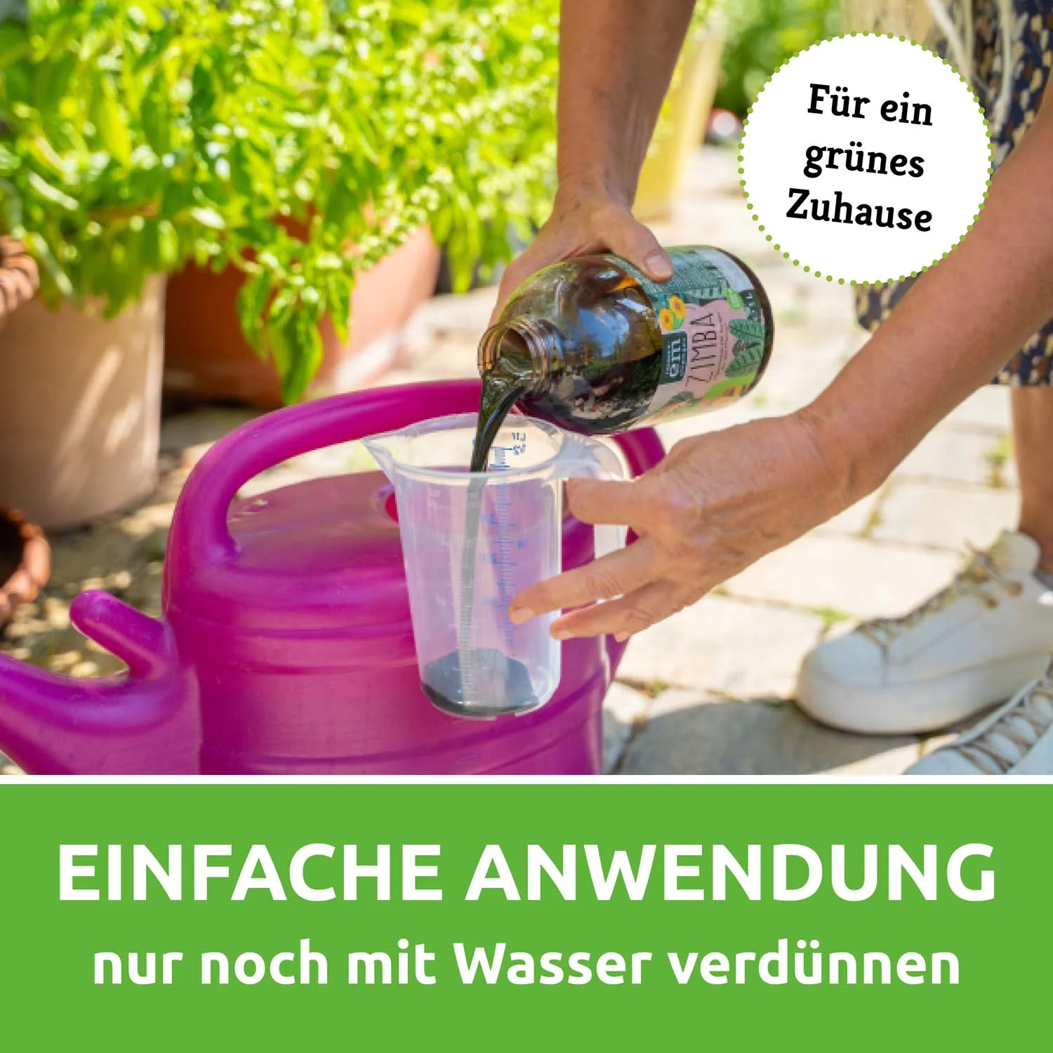 Vorschaubild 6