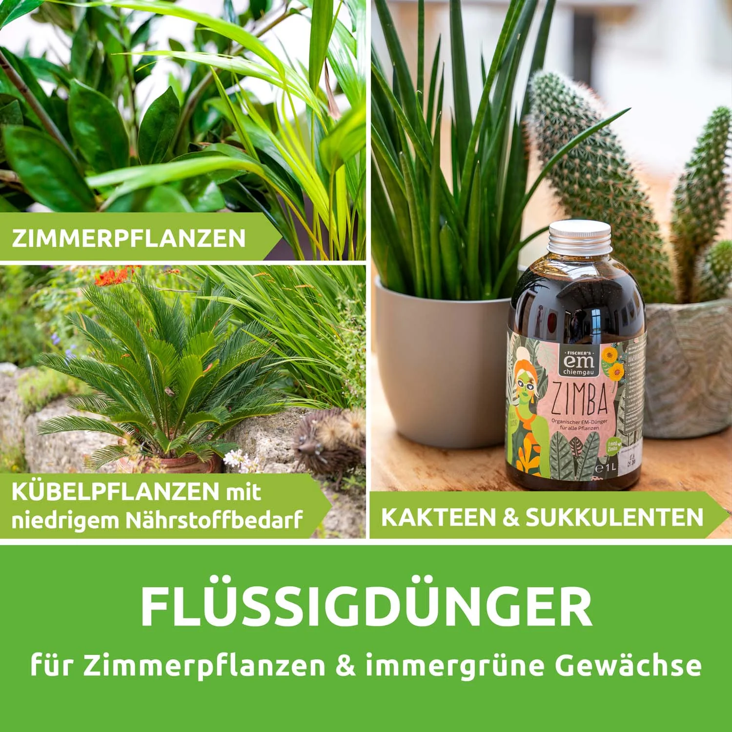 Vorschaubild 3